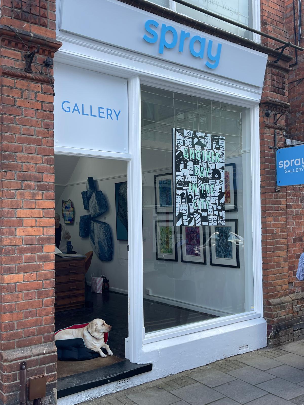 Spray Gallery in Henley-on-Thames with blue dimensional lettering and coordinating window graphics